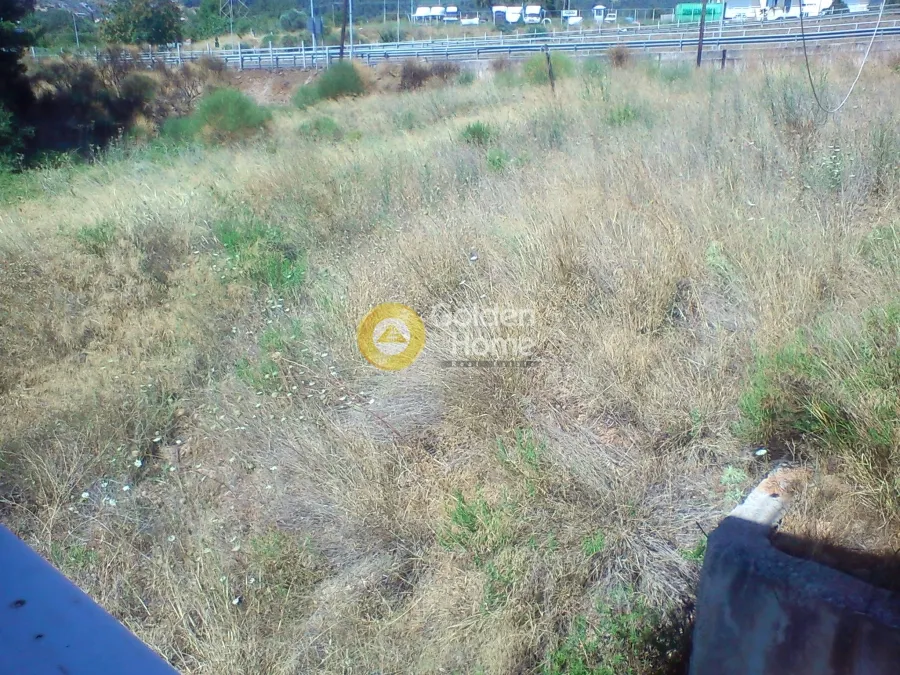 Garden - Agricultural Plot with Unrestricted View in Kiparissia