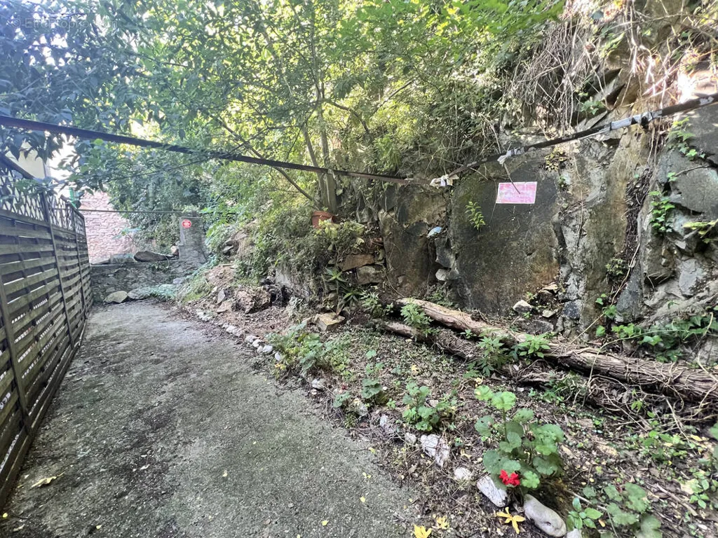 Jardin - Studio en Centre-Ville à Amélie-les-Bains