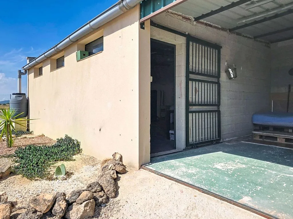 Esterno - Villa with Pool and Terrace in Pinoso
