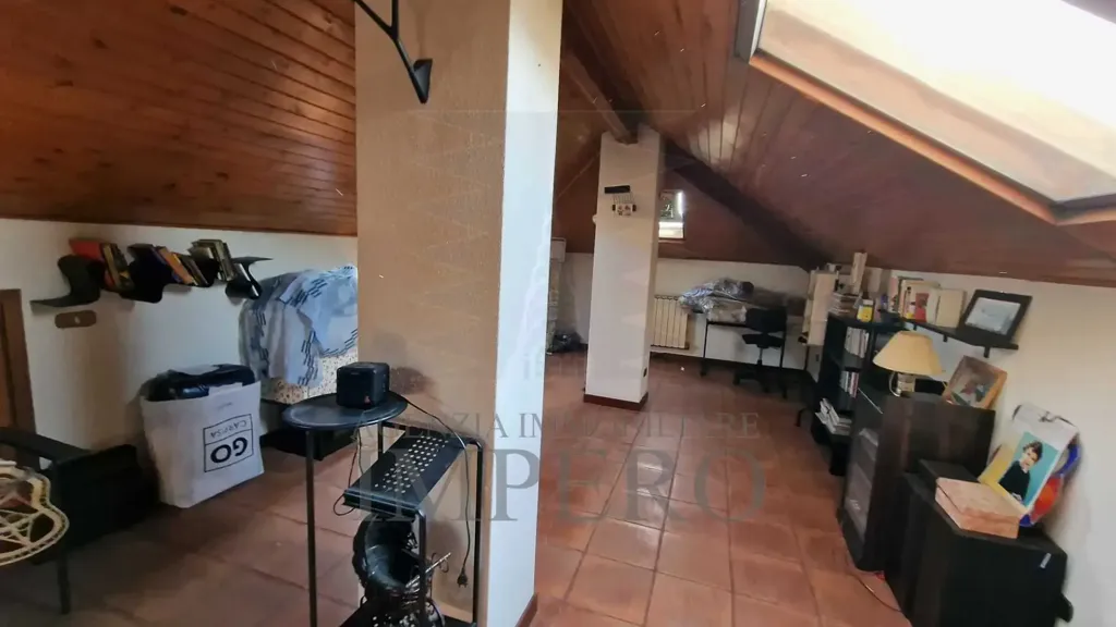 Toad - Villa with Sea View in Nervia, Ventimiglia