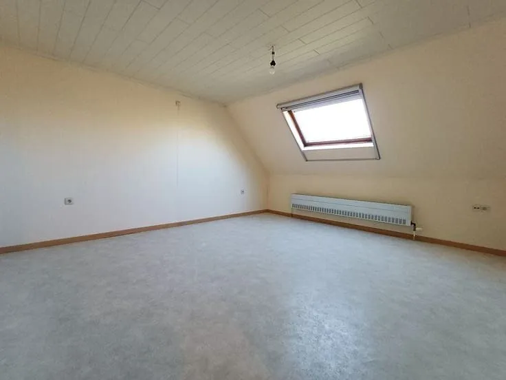 Toad - House in Nederbrakel, Brakel