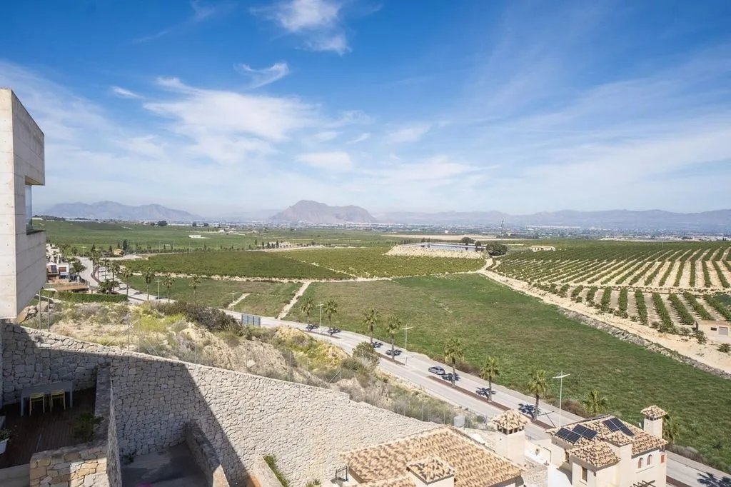 Jardin - Contemporary Villa with Private Pool in Algorfa