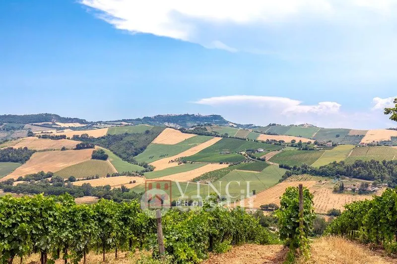 Aed - Rustic Casale with Pool in Montefiore dell'Aso