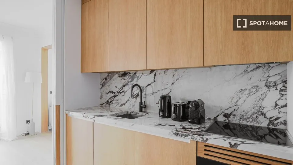 Cuisine - Appartement 1 Pièce dans le Triangle d'Or, Paris