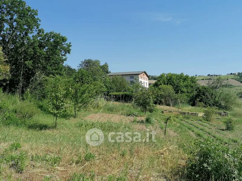 Aed - Rustic Casale with Olive Grove in Polverigi