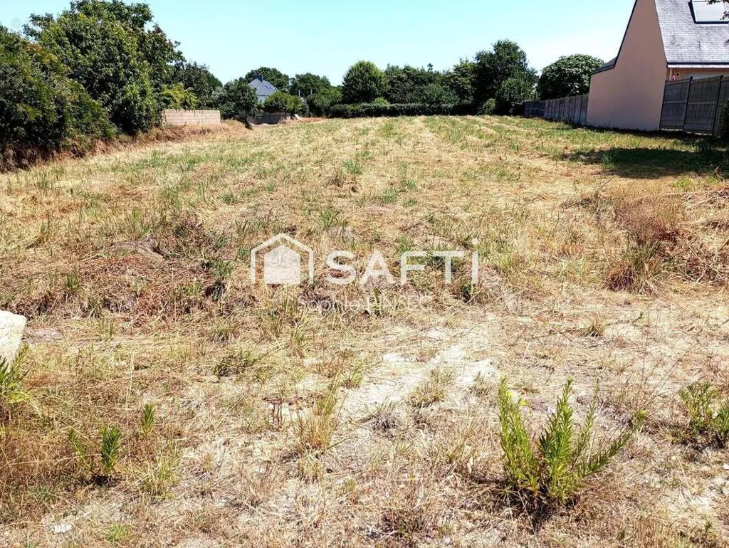 Constructible Plot with RIA Proximity in Belz