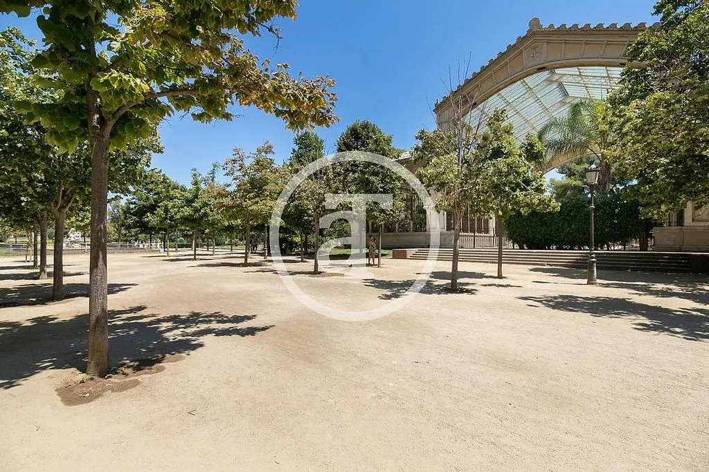 Furnished Flat with Catalan Vault in Barcelona