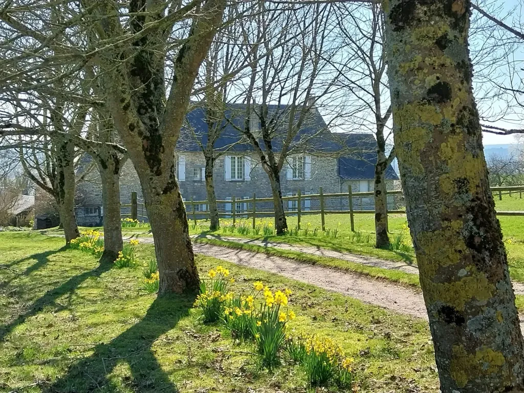 Aed - Stone House with Pool in Normandy Countryside