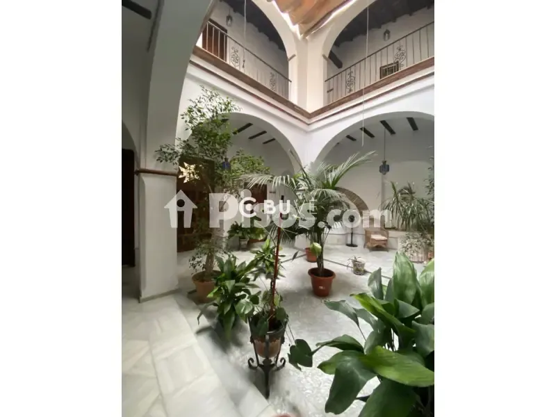 Garten - Señorial Patio House in Lebrija