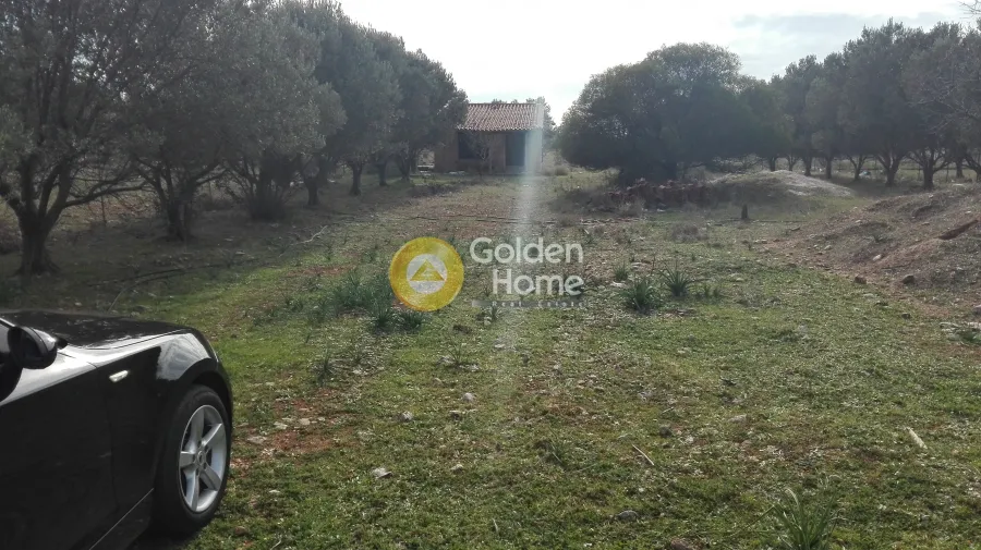 Giardino - Plot with Mountain View in Koropi
