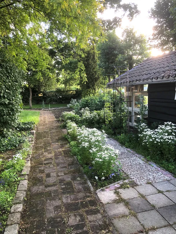 Aed - Charming Villa with Parkland Views in Maasland