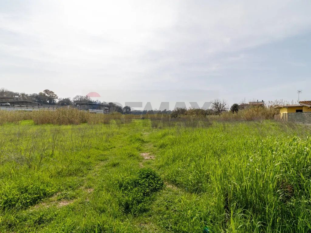 Giardino - Buildable Land with Project in Ardea