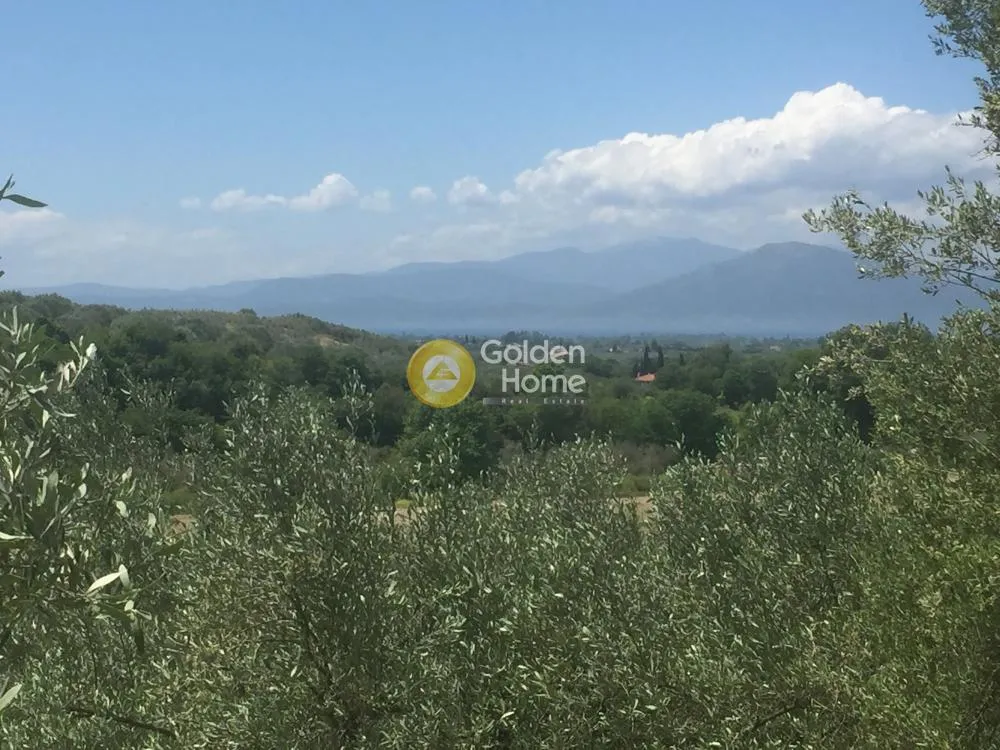 Aed - Agricultural Plot with Olive Trees in Avgoria