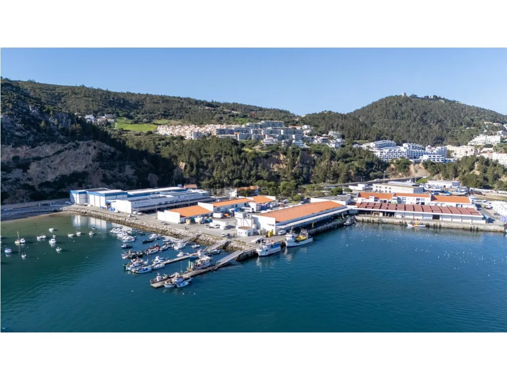 Vue aérienne - Duplex Flat with Sea View in Sesimbra
