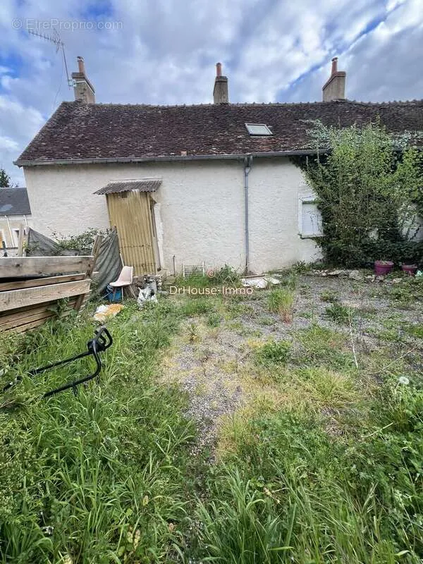 Jardin - Immeuble avec 3 Maisons et Jardins à Mehun-Sur-Yevre