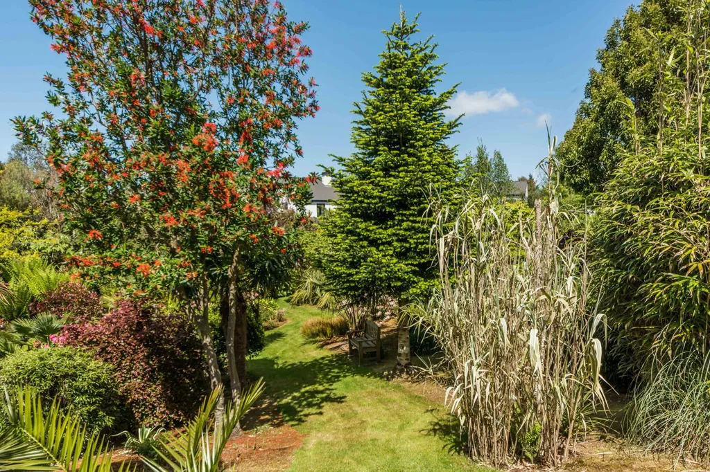 Jardin - Maison 4 chambres à Schull
