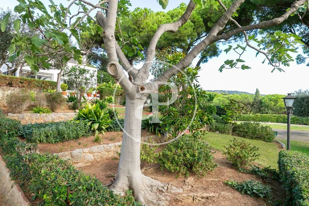 Jardin - Luxury Villa with Pool in Sant Andreu de Llavaneres