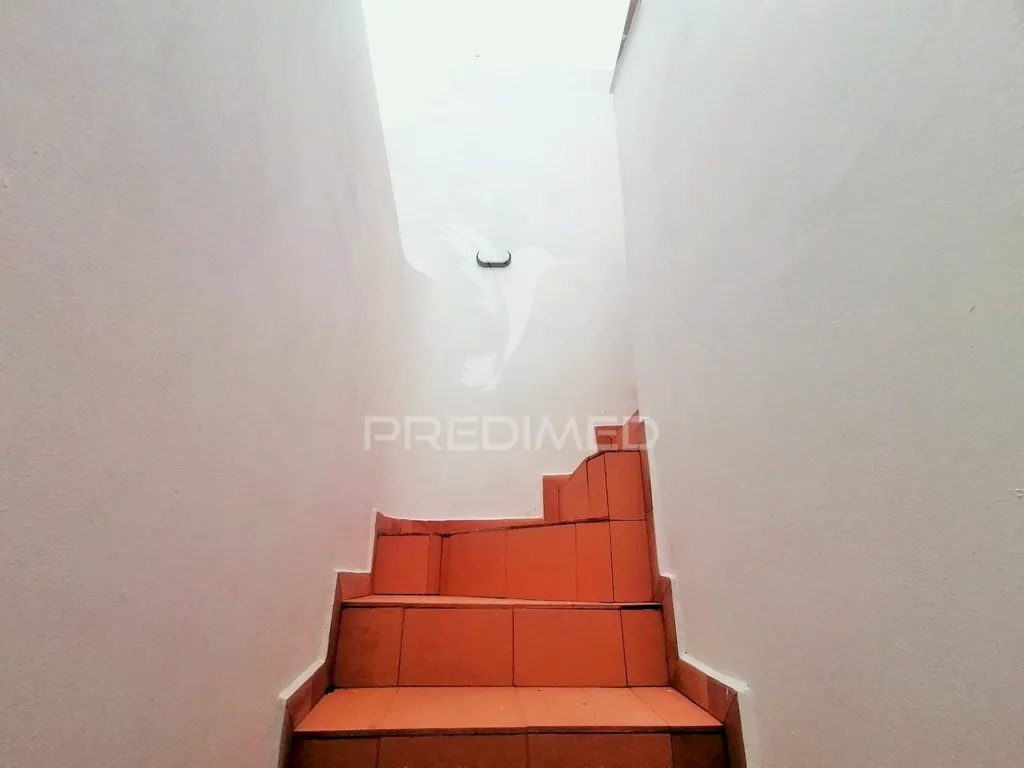 Toad - Remodelled House with Two Apartments in Olhão