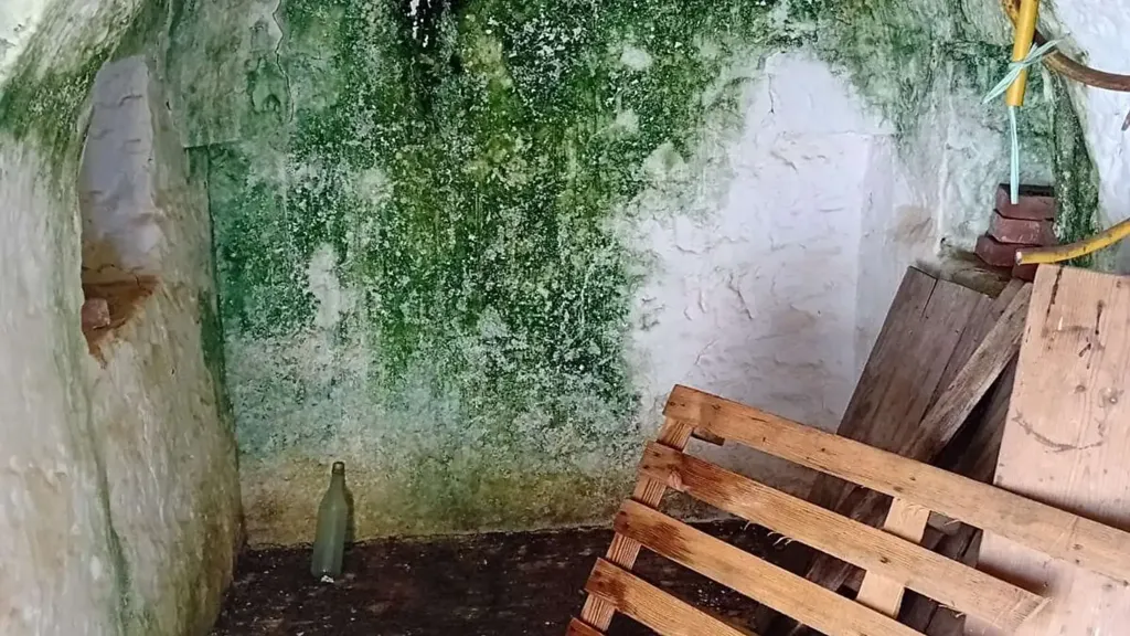Lavanderia - Trullo da ristrutturare con terreno a Carovigno