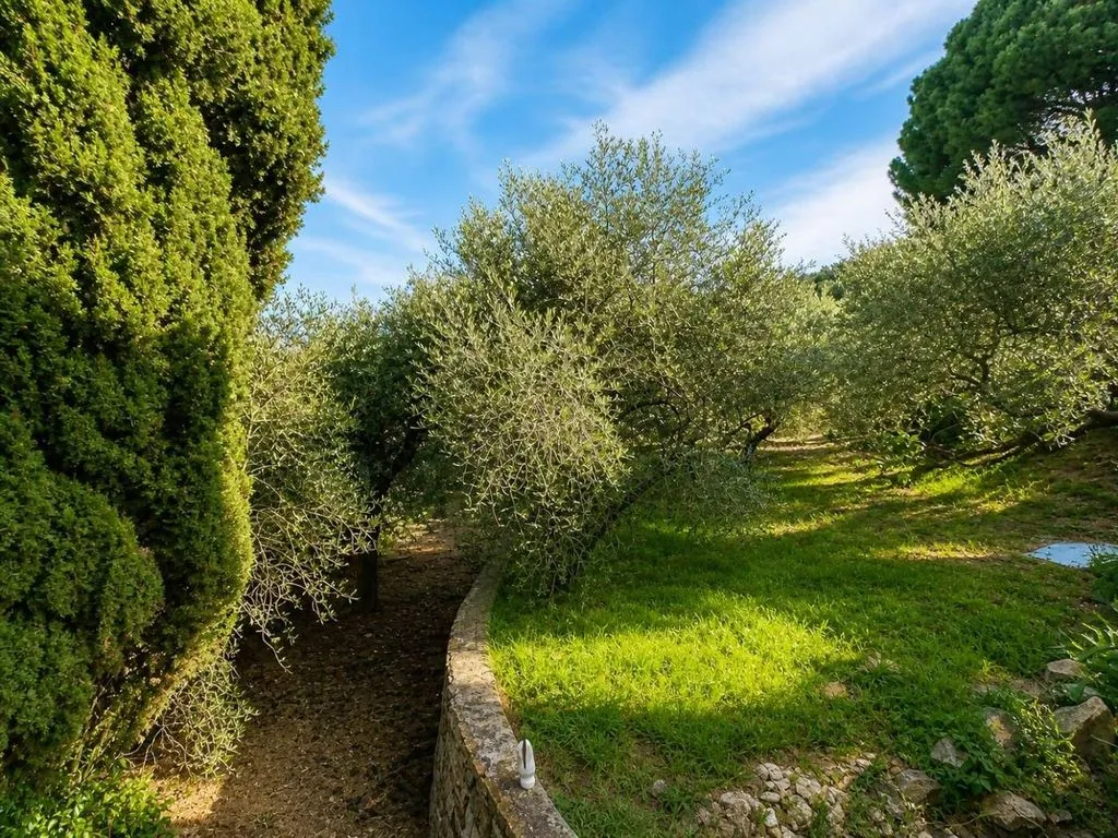 Jardin - Luxury Villa with Pool in Diano Marina