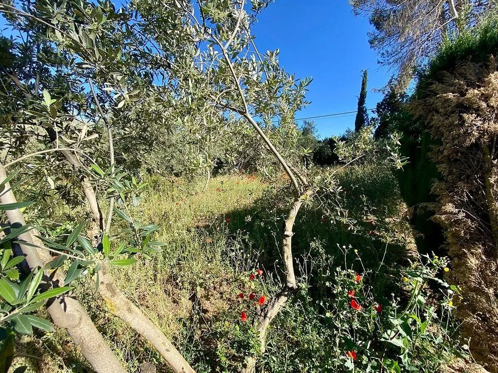 Aed - Chalet with Pool in Miguelturra
