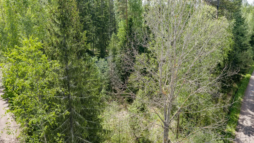 Vista aerea - Plot with Well for Self-Sufficiency near Porvoo