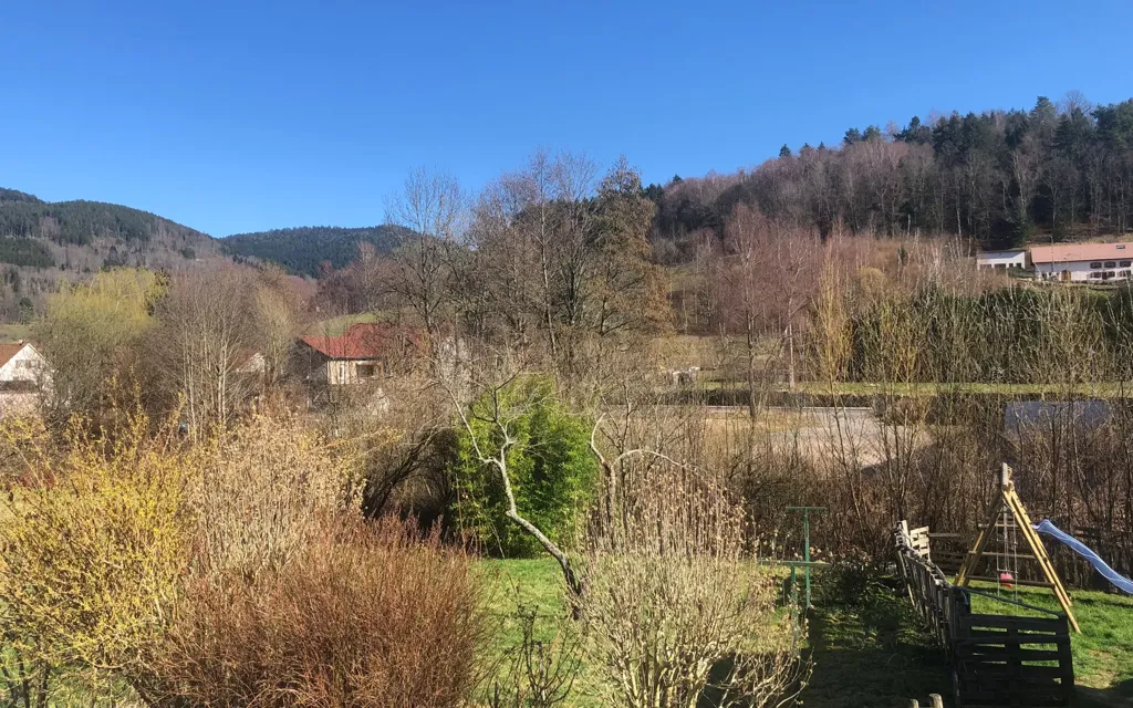 Jardin - Maison Mitoyenne avec Terrasse dans le Parc des Vosges