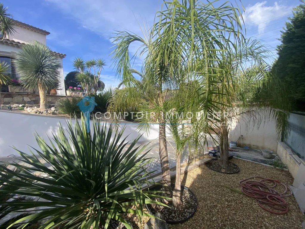 Jardin - Villa de Luxe avec Piscine à Mandelieu la Napoule