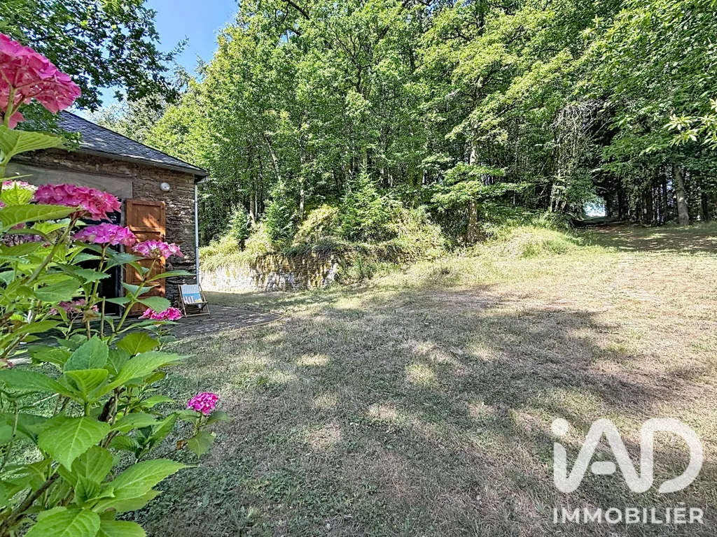 Aed - Charming Stone House in Coupiac