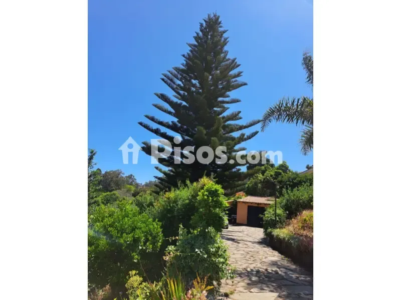Aed - Rustic Finca with Orchard in Valleseco