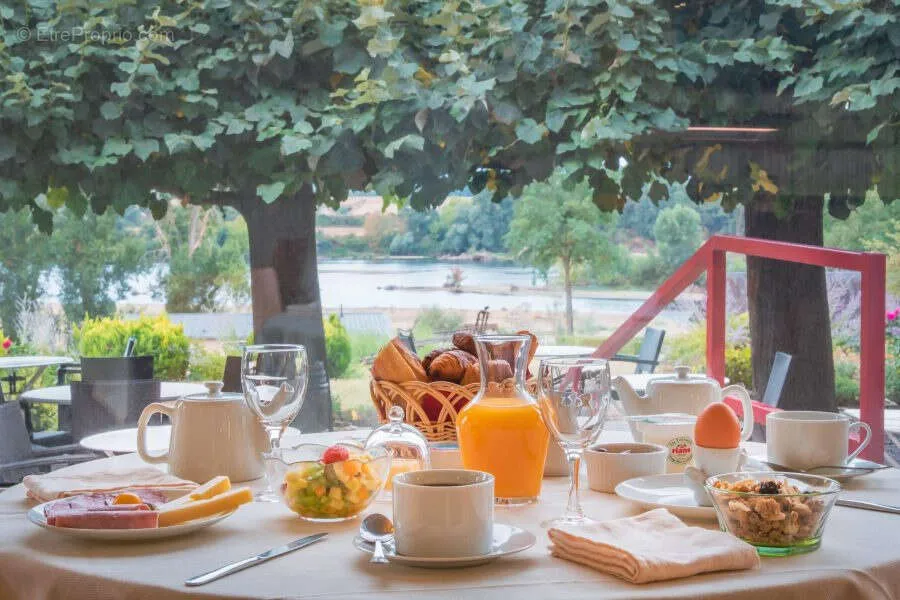 Terrasse - Hôtel-Restaurant avec Vue sur la Loire