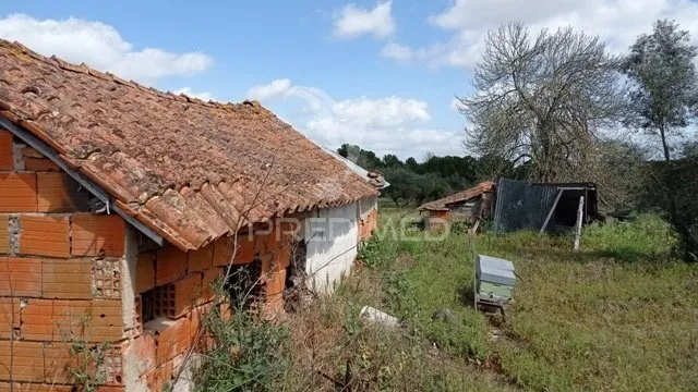 Välivaade - Traditional House with Fruit Trees in Couço, Coruche
