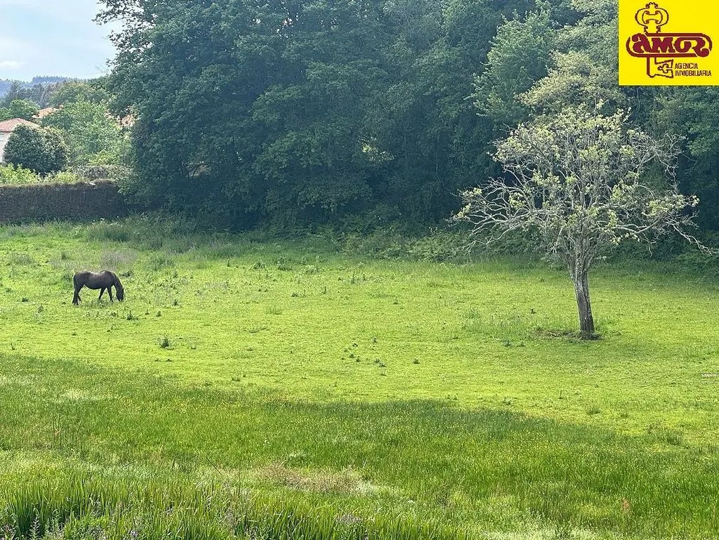 Aed - Chalet with Garden in O Pino