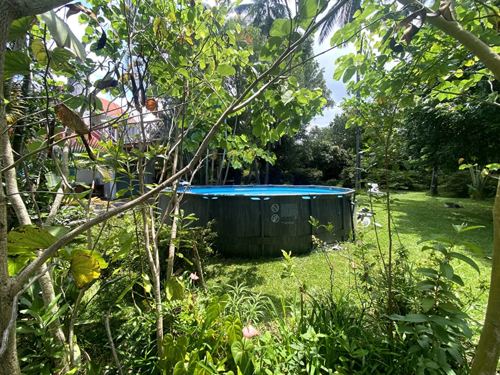 Aed - Renovated Villa with Jacuzzi in Tampon