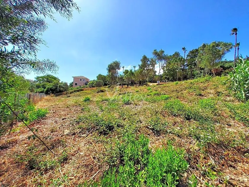 Giardino - Chalet with Garden Views in Sotogrande