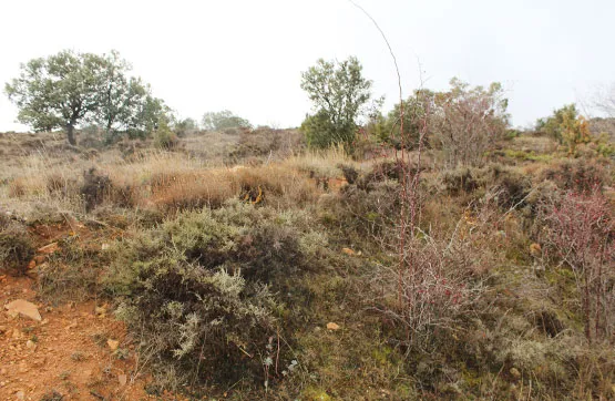 Aed - Large Agricultural Plot in Tordellego, Guadalajara
