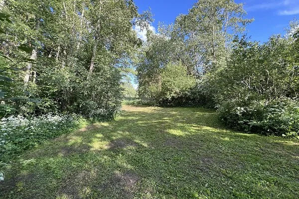 Giardino - Land Plot with Forest Cover near Võru