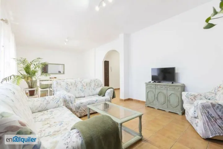 Séjour - Furnished Apartment with Teide Views in Tacoronte