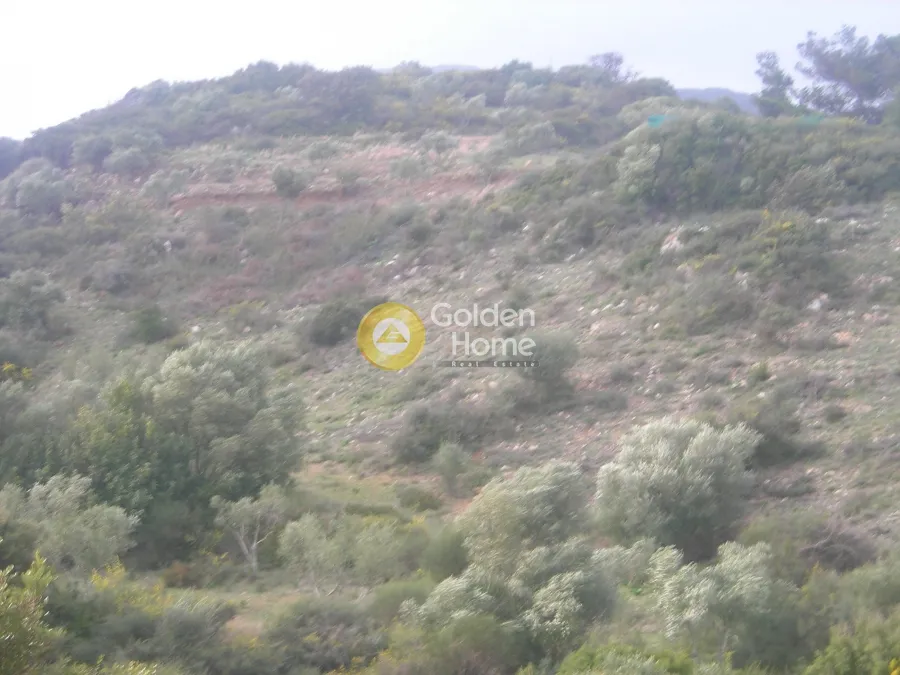 Aed - Agricultural Plot with Sea and Forest Views in Vasilikos