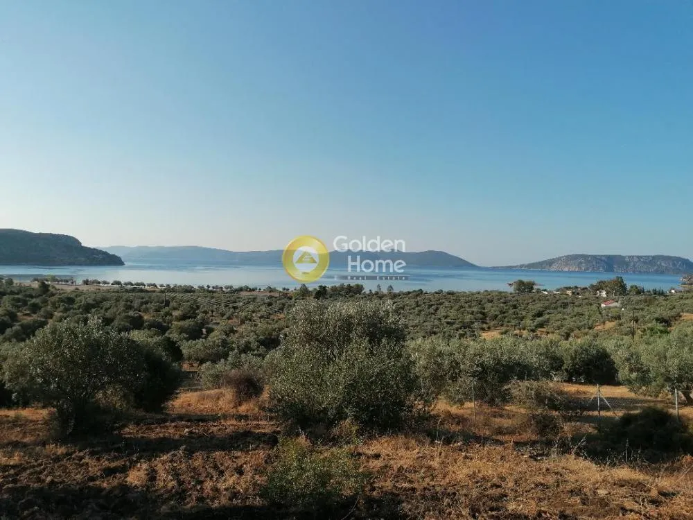 Land in GR