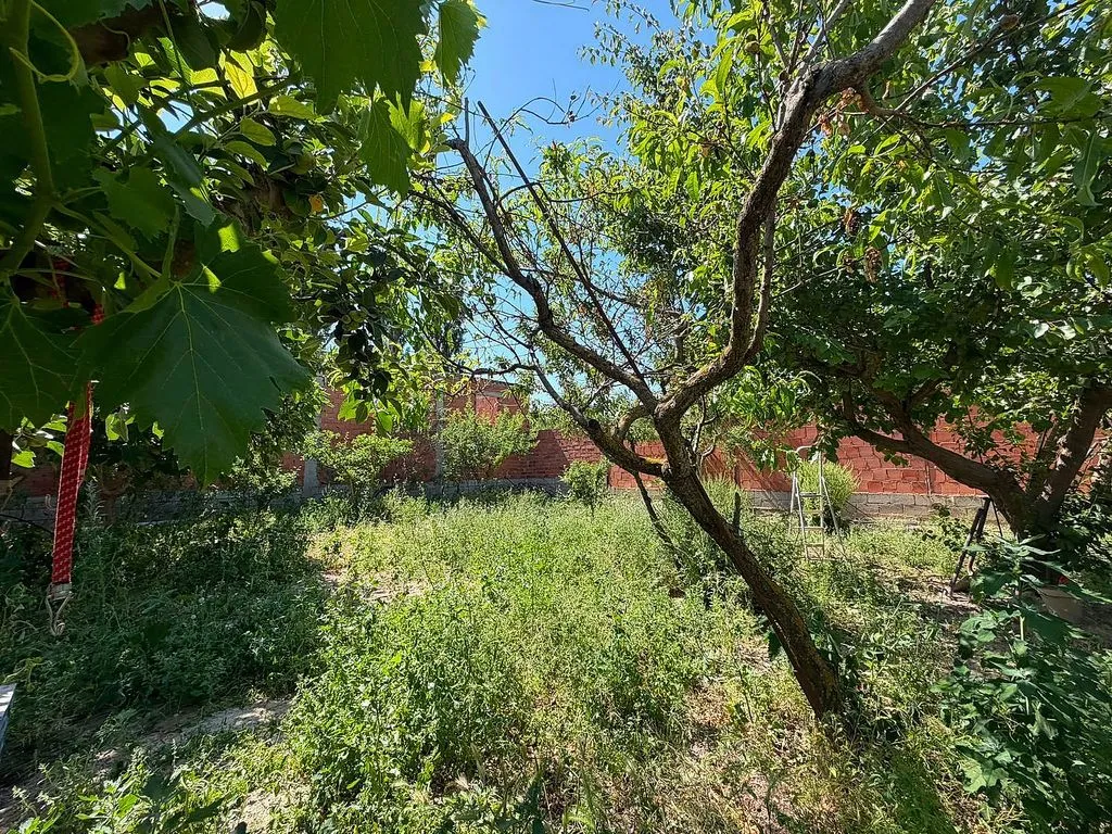 Aed - Rustic House with Pool near Belchite
