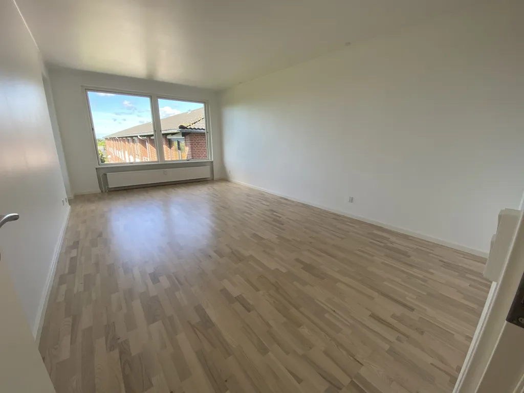 Toad - Renovated Apartment with Balcony in Denmark