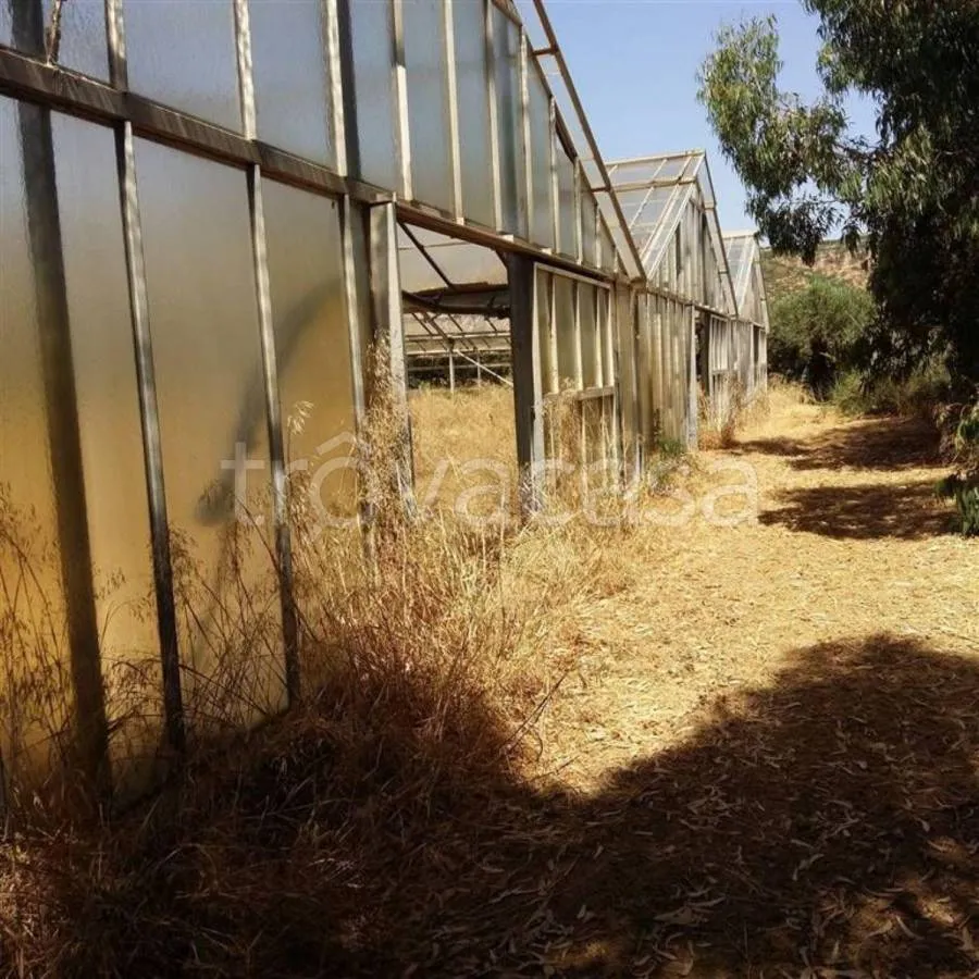 Jardin - Rustic Casale with Olive Grove in Sciacca