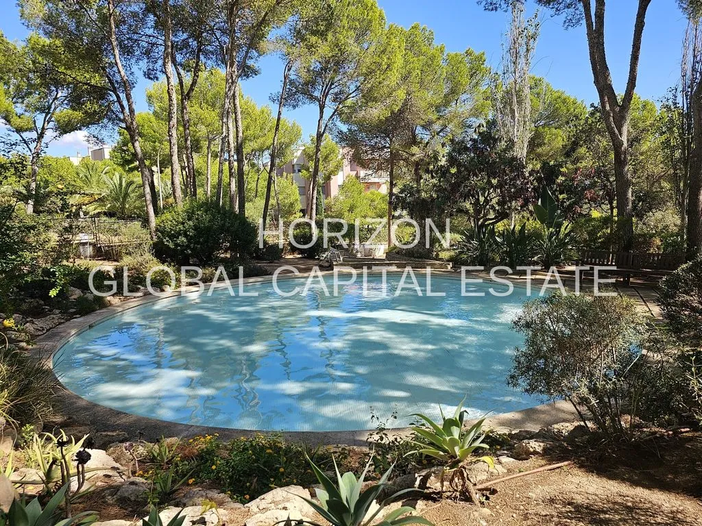 Piscine - Penthouse with Sea Views in Sol de Mallorca