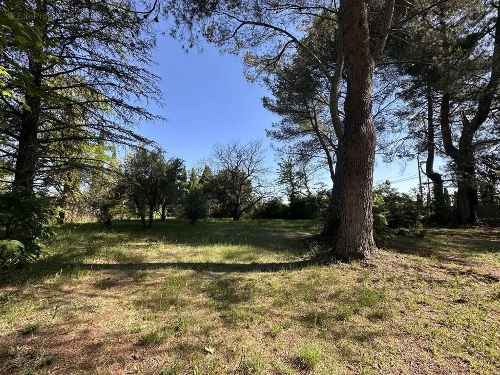 Jardin - Terrain à Bâtir Calme à Aix-en-Provence