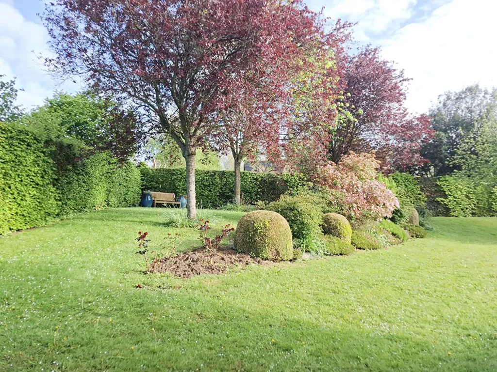 Garden - Norman House with Pool in Beuvron En Auge
