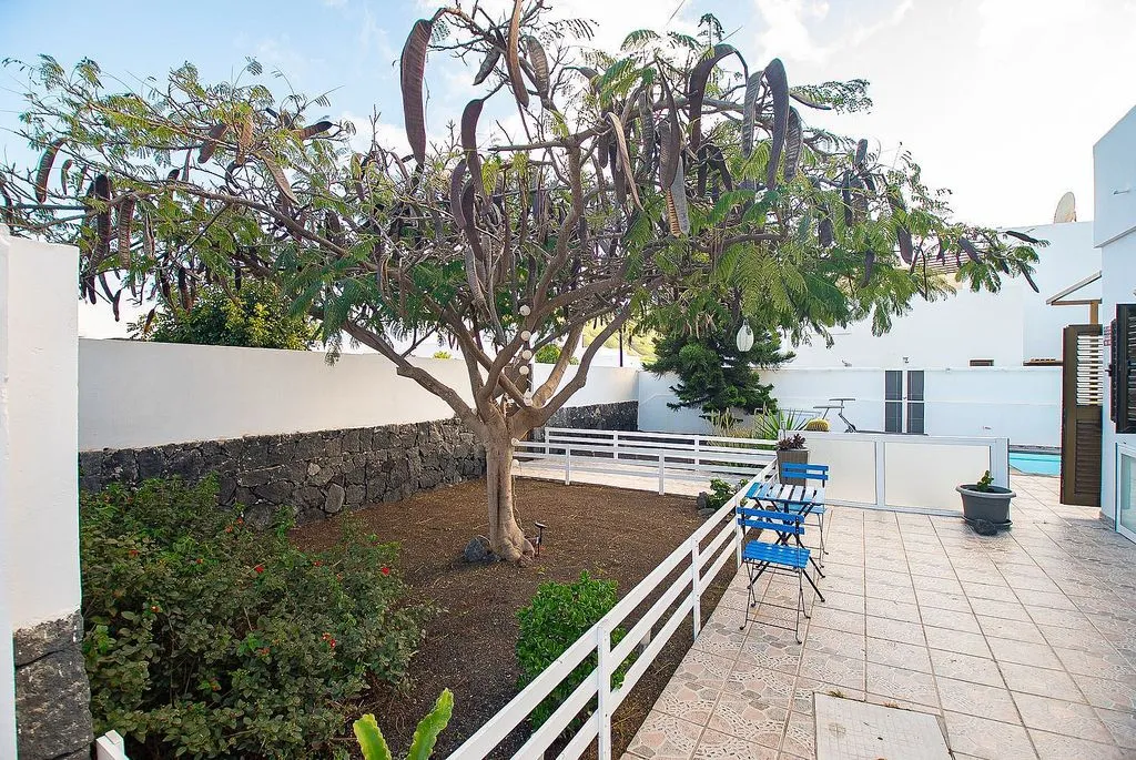 Jardin - Chalet with Pool and Terrace in Yaiza