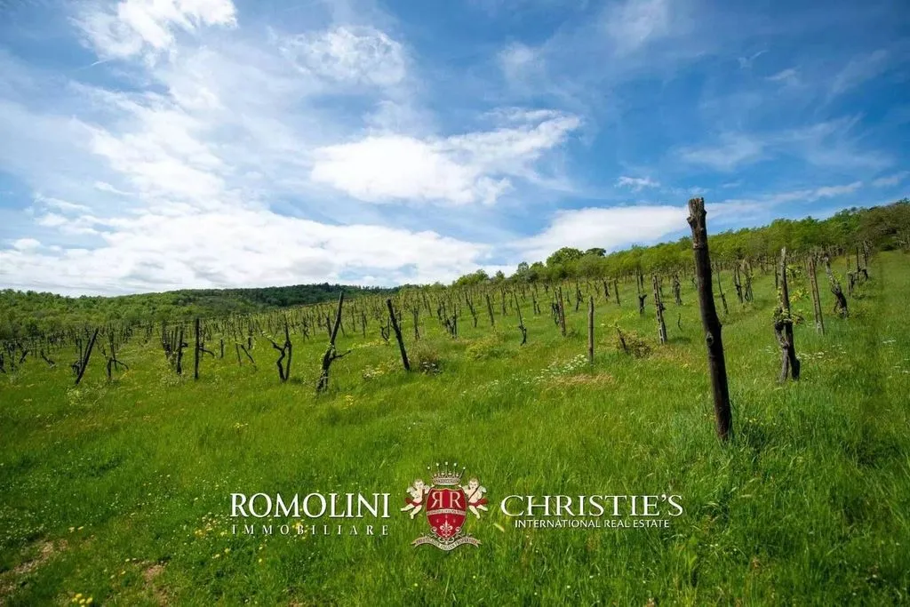 Jardin - Vineyard Estate with Chianti DOCG in Bucine
