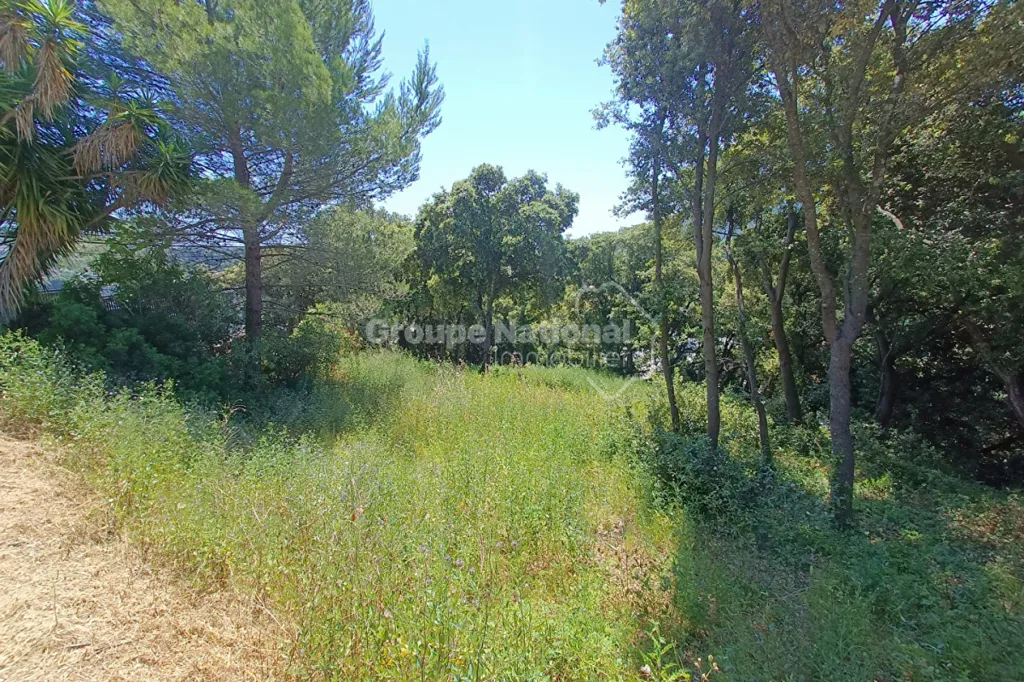 Giardino - Buildable Land with South-West Exposure in Pégomas