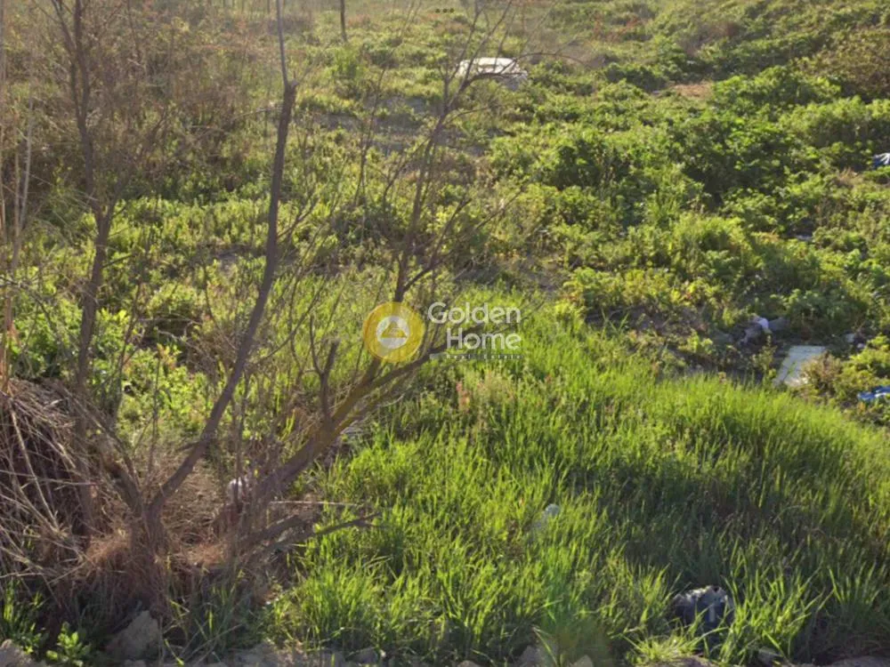 Garden - Agricultural Land with Unrestricted View in Thermi